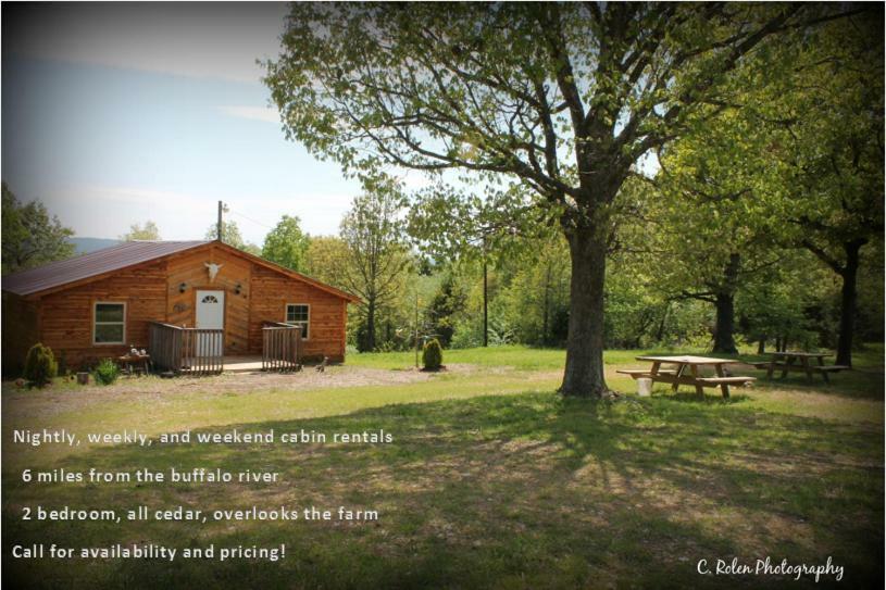 Cedar Cabin Located On A Buffalo Farm Marshall المظهر الخارجي الصورة