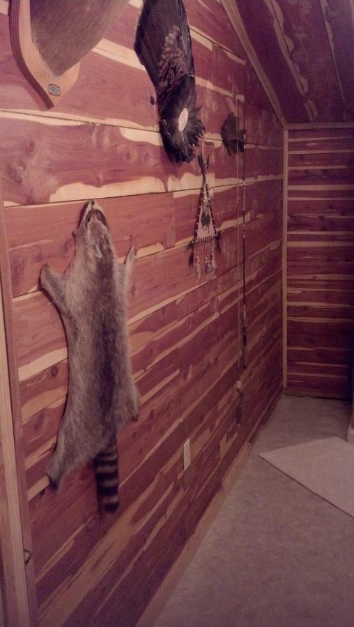 Cedar Cabin Located On A Buffalo Farm Marshall المظهر الخارجي الصورة